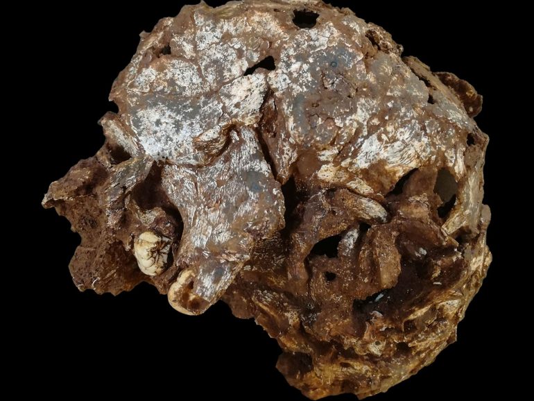 Cette tombe d’enfant est la plus vieille sépulture humaine jamais découverte en Afrique
